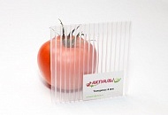 Поликарбонат АКТУАЛЬ!Био доказал свою эффективность в шоу Битва Теплиц