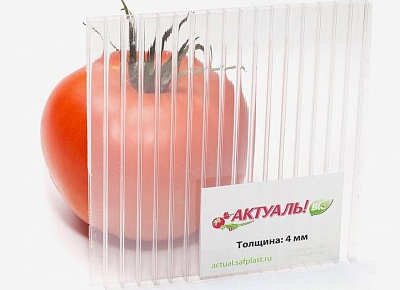 АКТУАЛЬ!Био - лучший выбор для Вашей теплицы