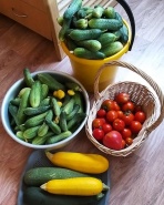 Июльский урожай под АКТУАЛЬ!Bio