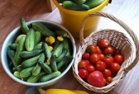 Пять причин поставить теплицу осенью (и как это правильно сделать) Пять причин поставить теплицу осенью (и как это правильно сделать)