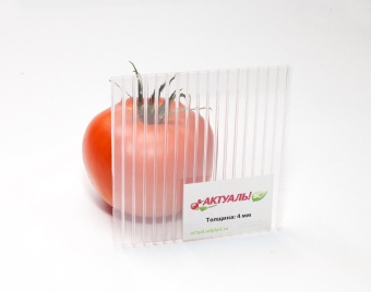 04мм 12000х2100мм СПК Actual! (0,72 кг/м2)