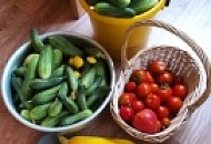 Июльский урожай под АКТУАЛЬ!Bio Июльский урожай под АКТУАЛЬ!Bio