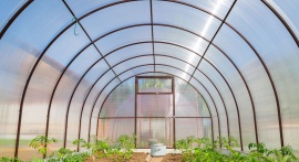 Одна теплица на 20 лет или как сэкономить без вреда урожаю.